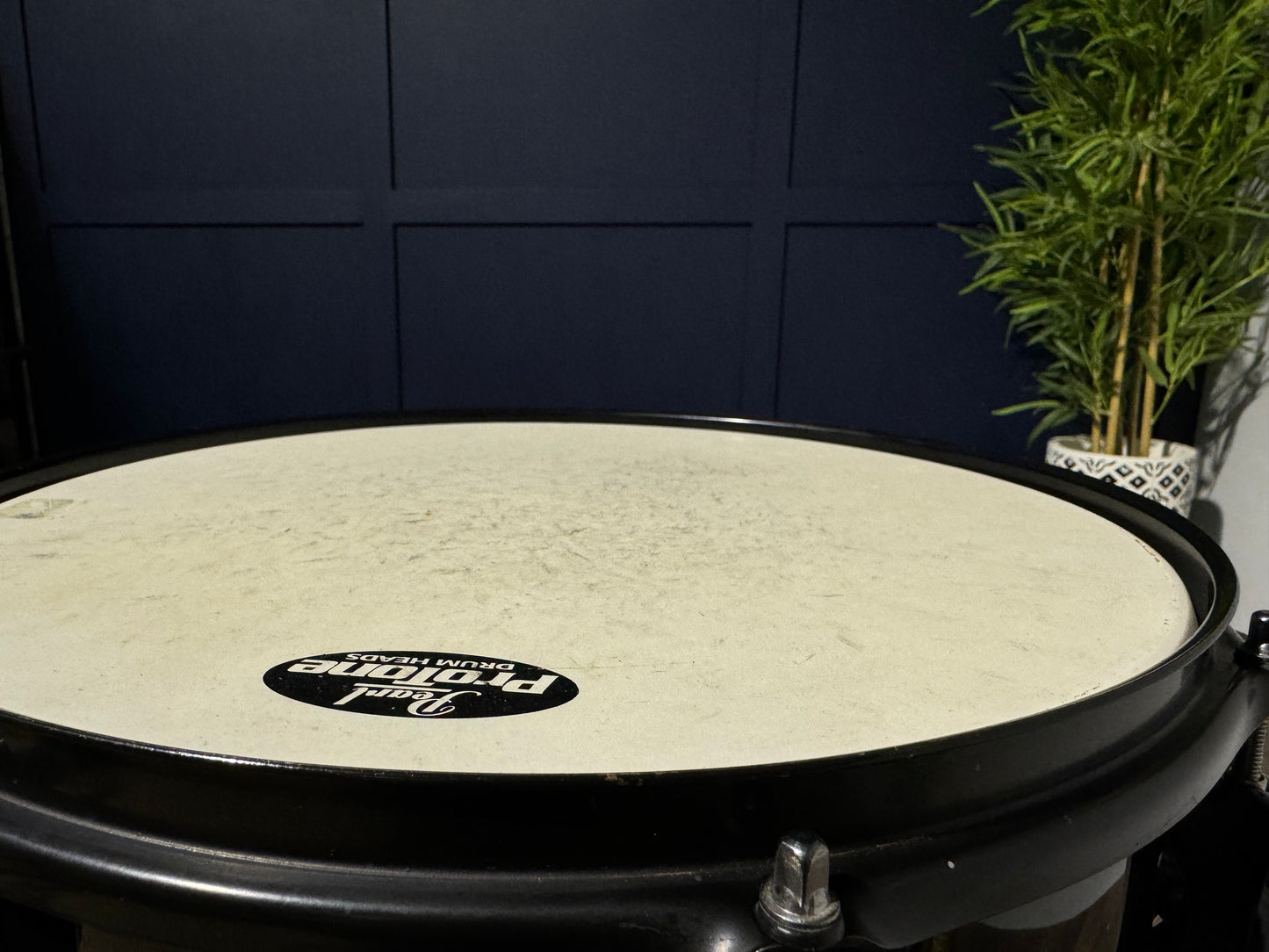 Pearl Export EX 14” x 5.5” Snare Drum / 8-Lug / Black #NB7