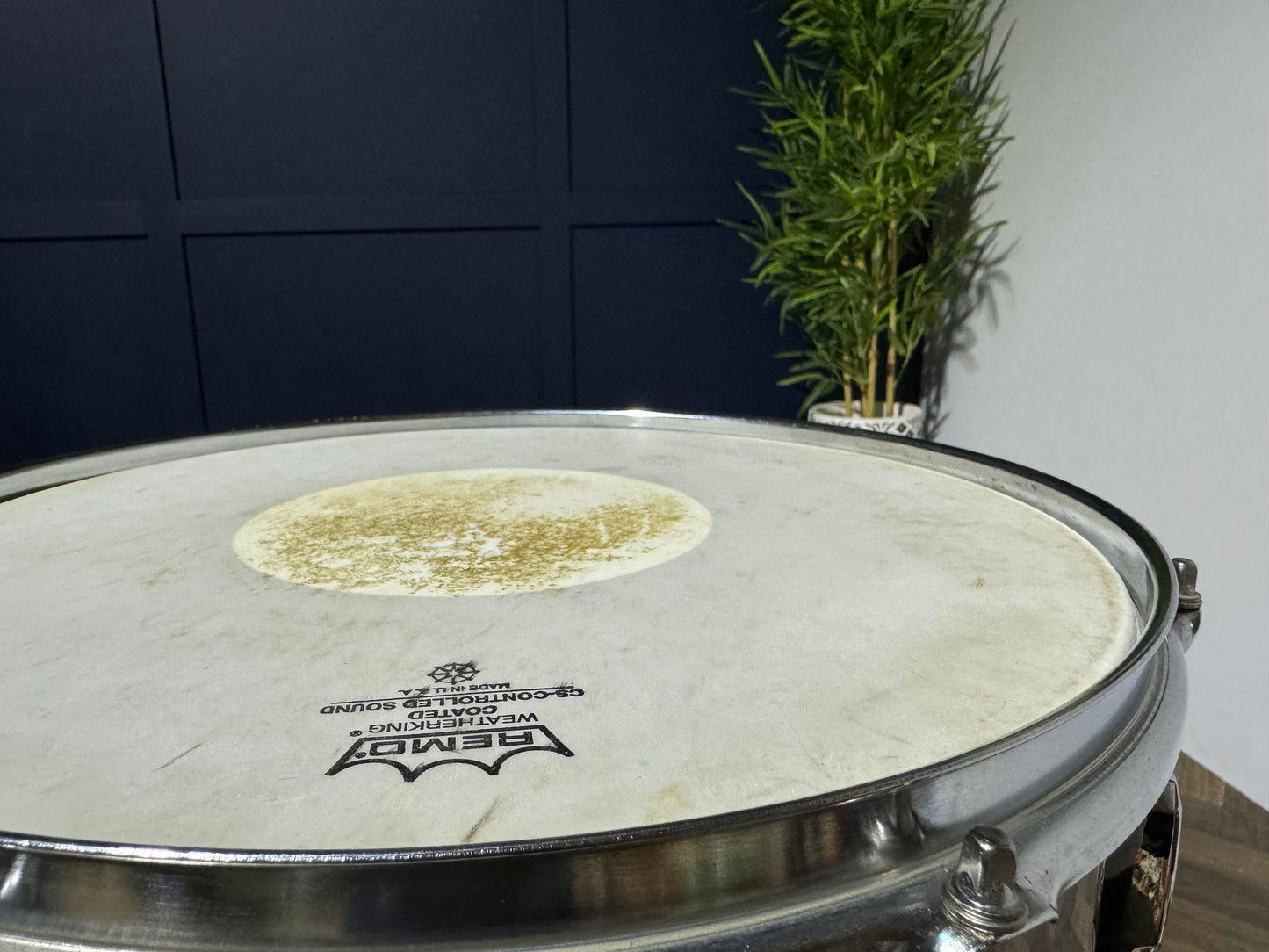 Pearl Export 14” x 6.5” Snare Drum / 8-Lug / Steel Shell Snare #NS55