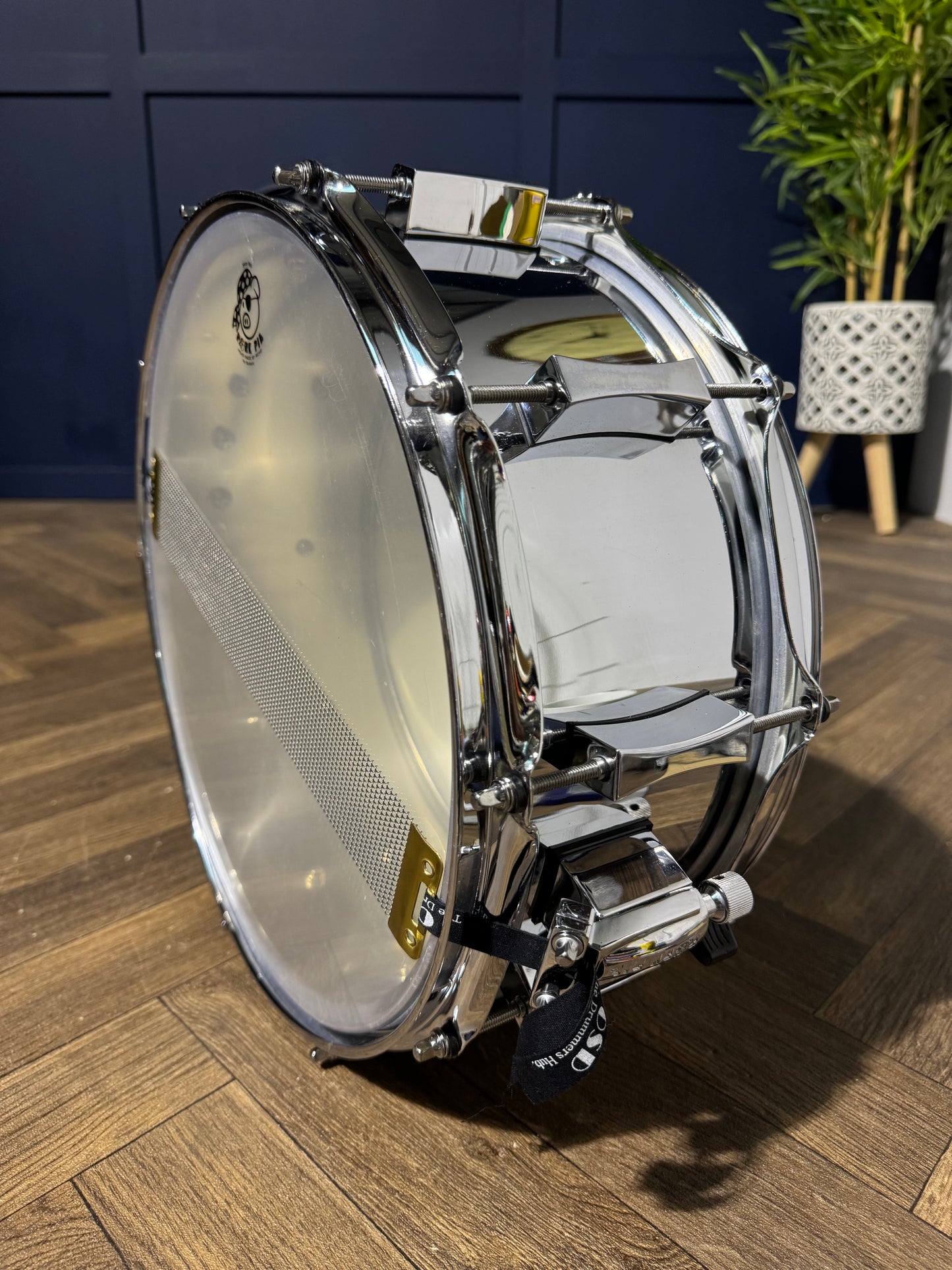 Pork Pie 'Little Squealer' 14” x 6” Snare Drum / 10-Lug / Steel Shell Snare #NS56