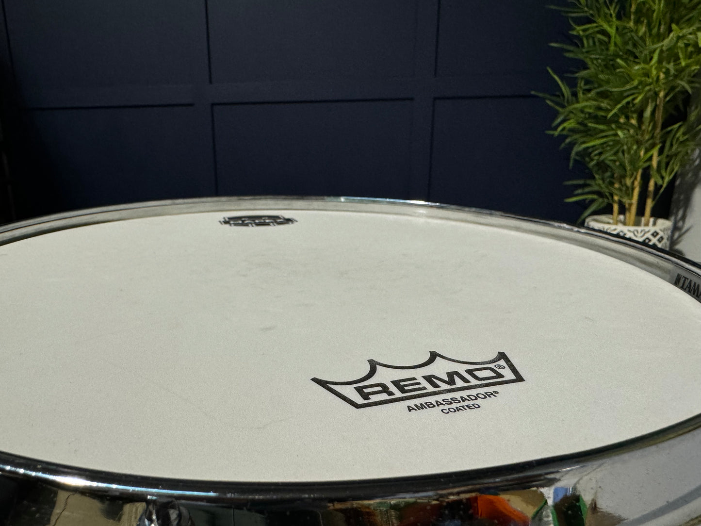 TAMA Starclassic Birch 14” x 5.5” Snare Drum / Made in Japan #NT16