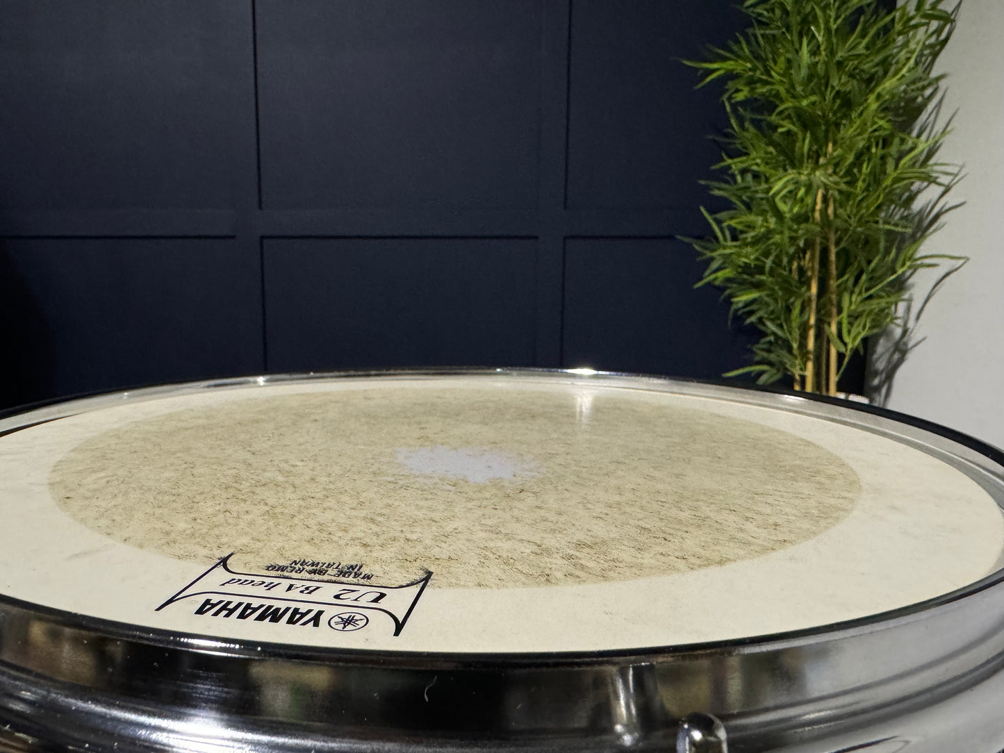 Yamaha Rydeen 14” x 5.5” Snare Drum / 8-Lug #MT64