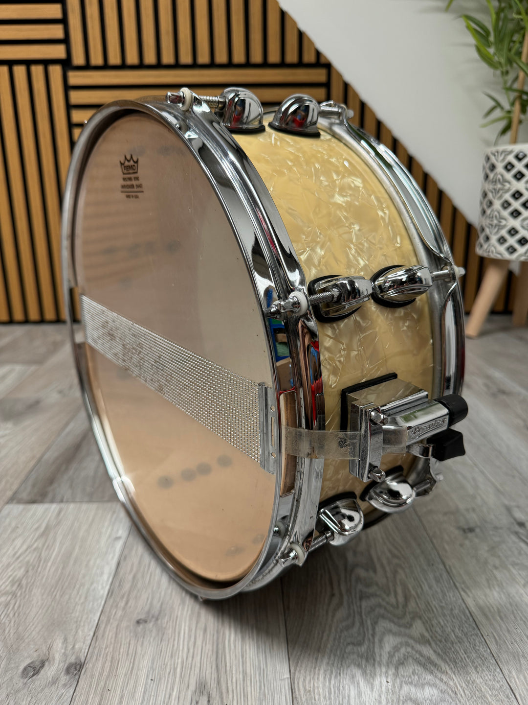 Premier Artist Birch 14” x 5.5” Snare Drum / 8-Lug #OJ5