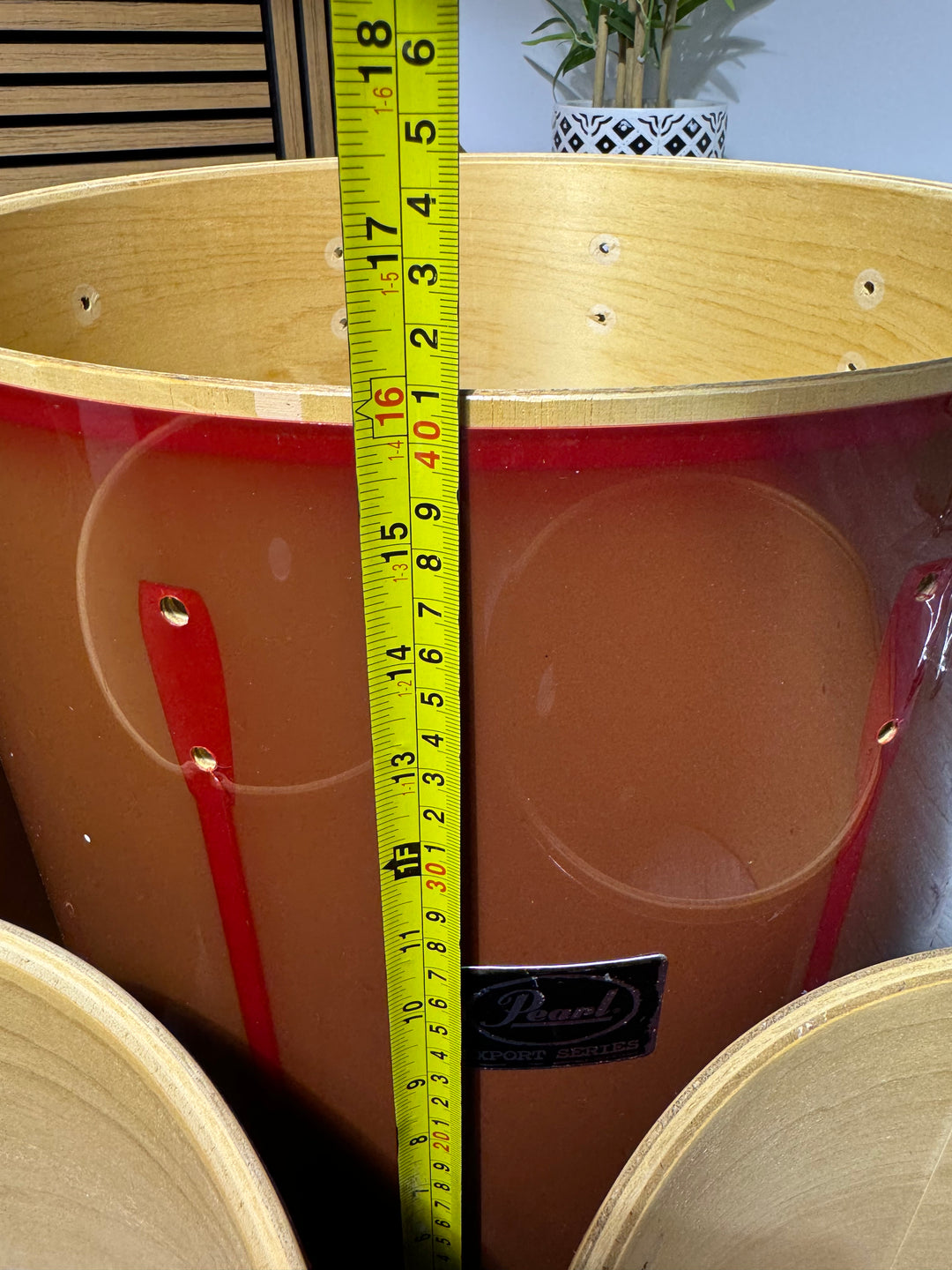 Pearl Export Shell Set x5 / Bare Wood Project / Upcycle #OC43