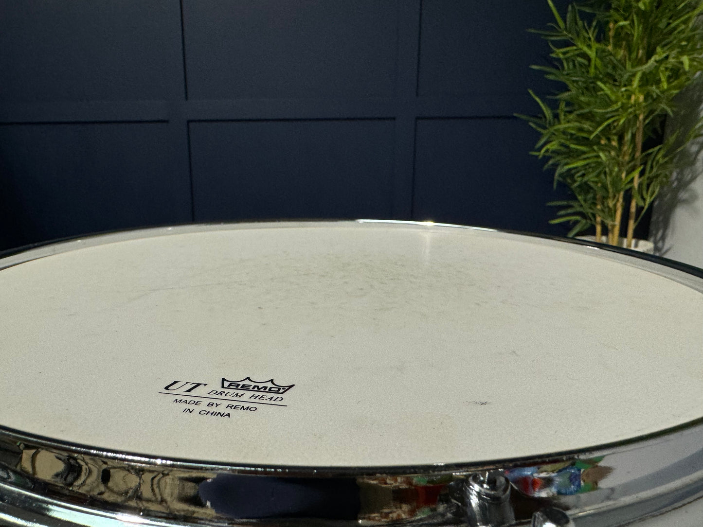 Natal Arcadia 14” x 5.5” Snare Drum / 8-Lug / Poplar Shell #NO33