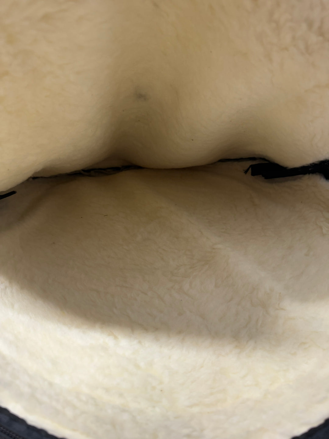 Protection Racket Cymbal Case 21" Standard / Padded Cymbal Case #OR39