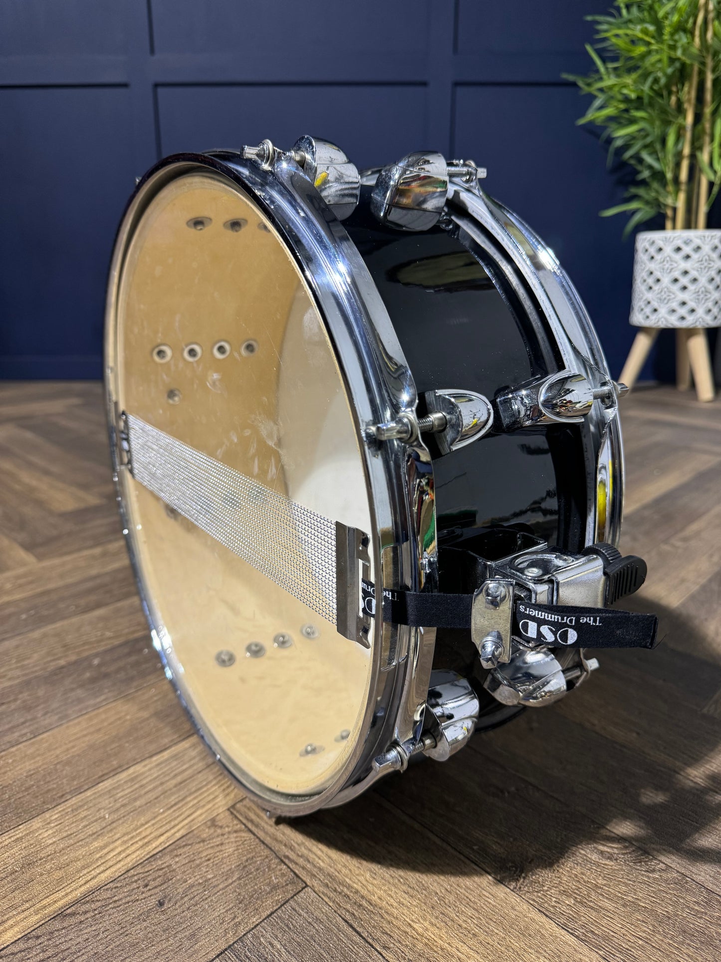 Premier Olympic 14” x 5.5” 8-Lug Snare Drum / Drum Hardware #MU135