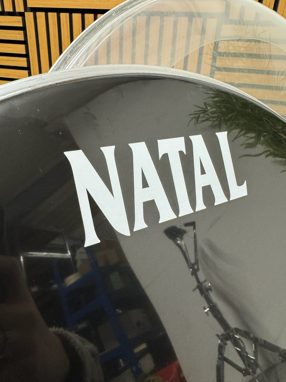 Natal by Remo Bass 22" Drum Heads (Pair) / Black & Clear #VK79/VV9