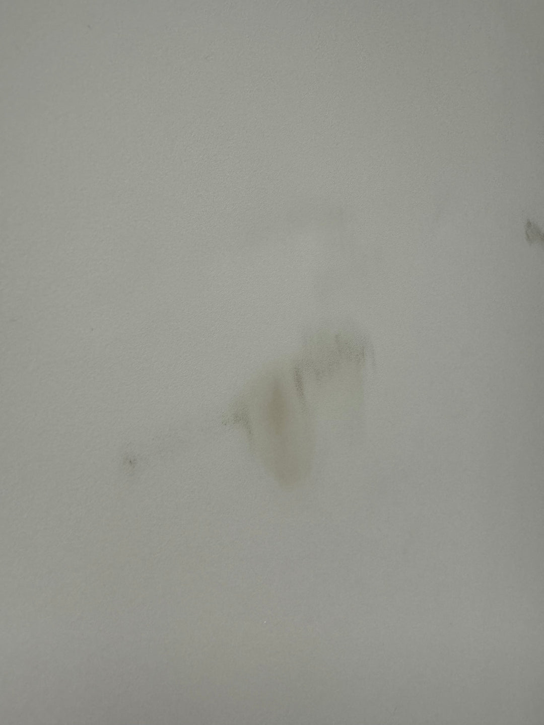 EVANS UV EQ4 Batter Bass 22" Drum Head / White Coated #OX53